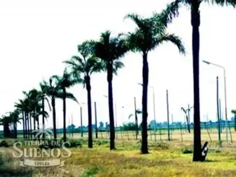 Terreno en Venta 12  mts Frente