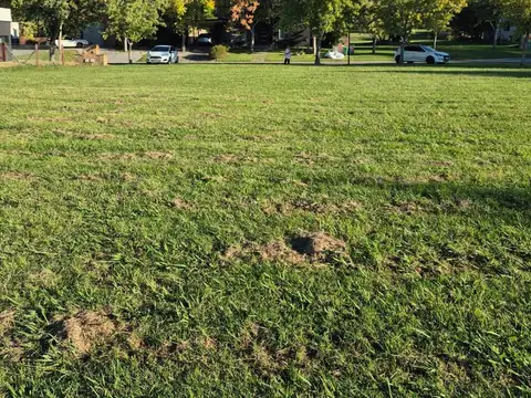 Terreno en Venta de 781,0 m2