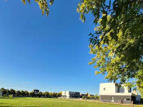 Lote interno El Cazal