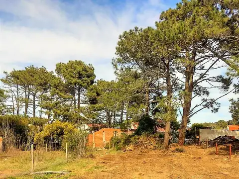 Terreno en Venta, FOT 2