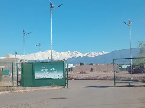 TACUARI 100