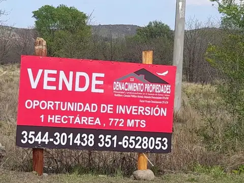 Ruta 14