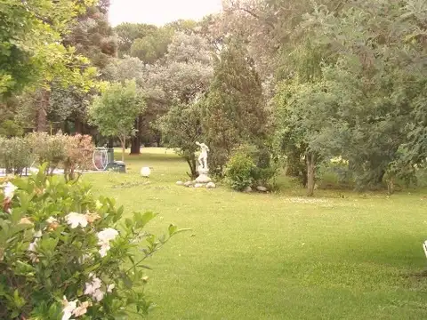 EL OMBU - Blas Parera 1300