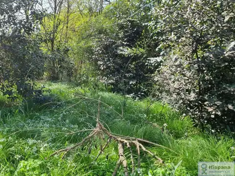 Ituzaingó entre Pizzurno y Larreta.