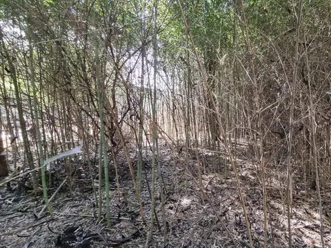 Lotes en venta, Villa Del Carmen, Del Viso, Pilar. ¡Posibilidad de financiación!