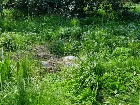 Terreno en Venta 52  mts Fondo