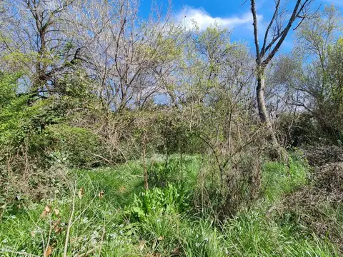 Terreno en Venta de 1050,0 m2