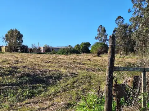 Terreno en Alquiler de 5000,0 m2