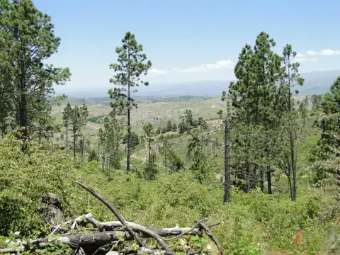 La Cumbrecita- Lotes Nº 3,8,9 Y 10