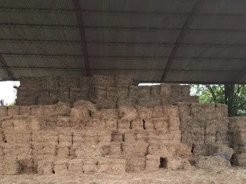 11 DE SEPTIEMBRE KM 12