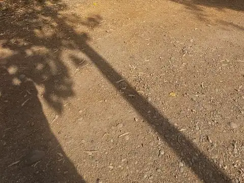 Galpon en Alquiler en Rodeo De La Cruz, $ 1.000.000