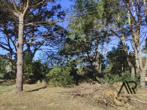 Terreno en venta de 592m2 ubicado en Punta del Diablo