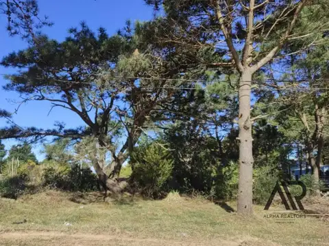 Terreno en Venta 15  mts Fondo