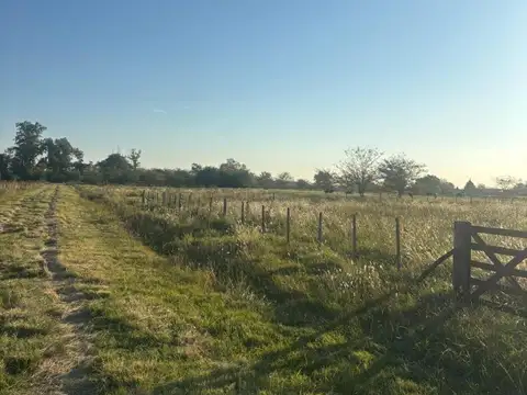 Terreno en Venta de 1000,0 m2