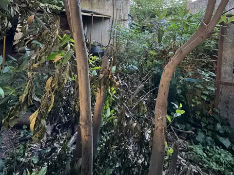 Dr Juan Bautista Justo 800