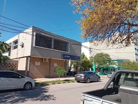 Belgrano 300