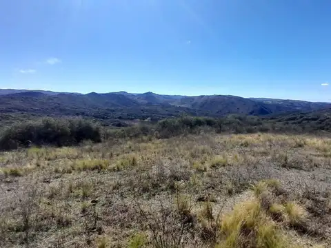 VENTA LOTE AGUA DE ORO 1 HECTAREA