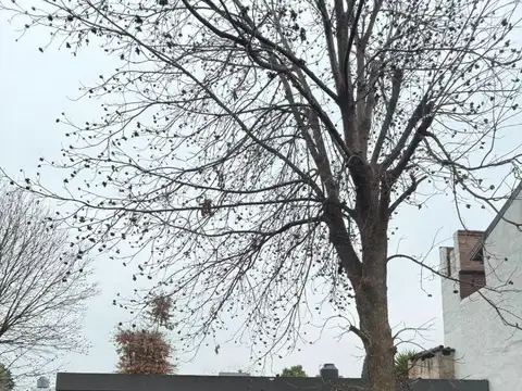 Casa en Venta a reciclar- Barrio Montecarlo