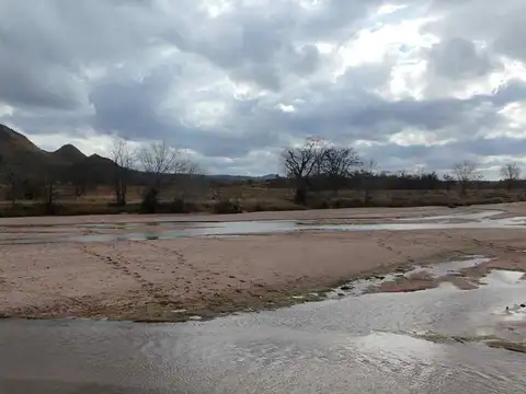 Ramon Funes Cortes 100