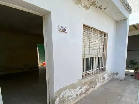 encina 5900