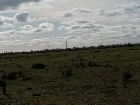 Campo en venta