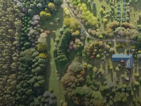 Campo sobre la circunvalación 515