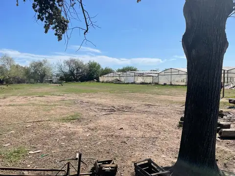 Calle 203 entre 32 y 38