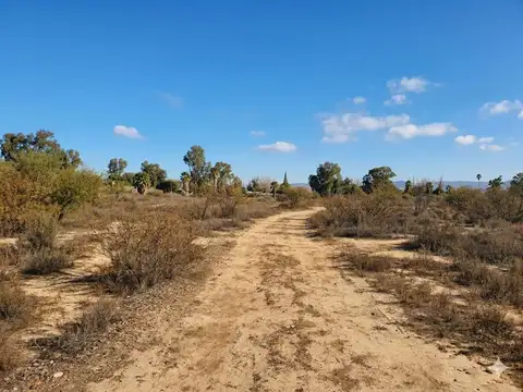 Terreno en Venta de 53286,0 m2