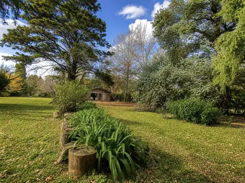 Quinta
