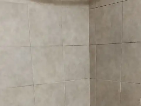 campichuelo 4900
