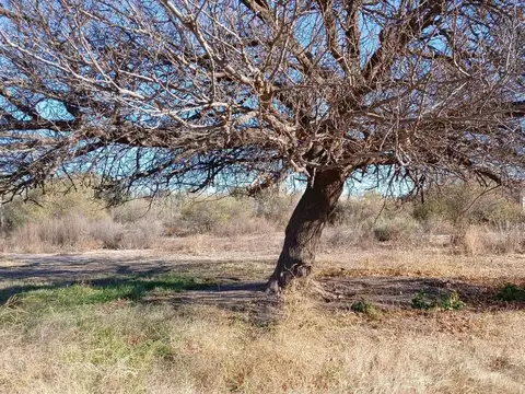 Terreno en Venta en Costa de Araujo, USD 40.000
