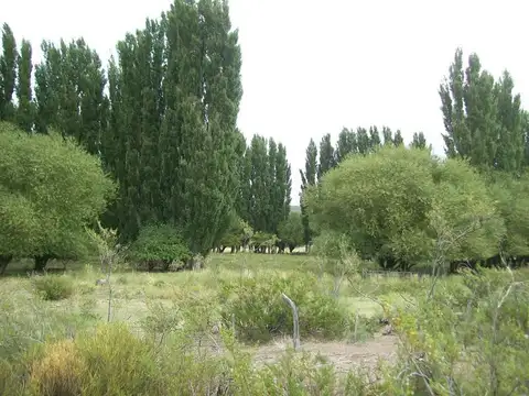 Campo con costa en venta en Chipauquil, Valcheta