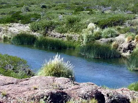 Campo con costa en venta en Chipauquil, Valcheta