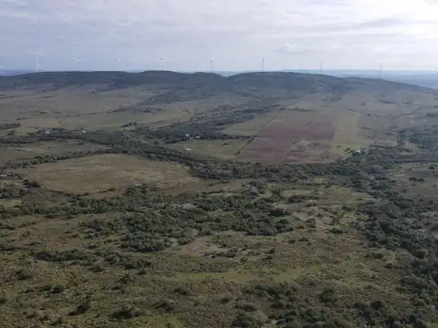 ruta 39