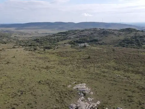 ruta 39