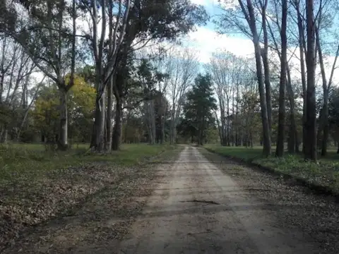 Terreno en Venta 30  mts Frente