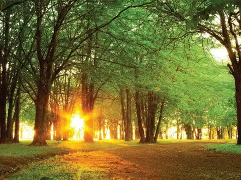 Terrenos en Amarilys | Exaltación de la Cruz