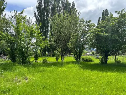 Terreno en Venta de 1246,0 m2