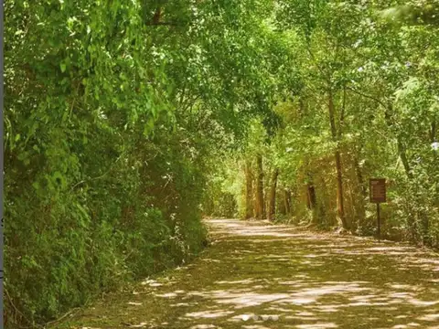 Terreno Lote  en Venta en Nativas, Puertos, Escobar