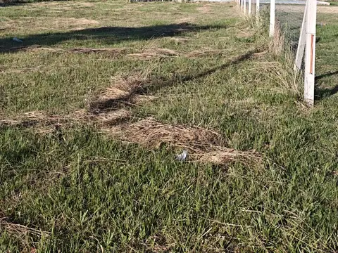 Terreno en Venta 33  mts Fondo