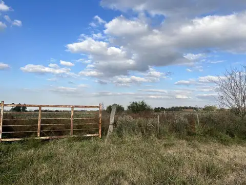 Venta Campo en Alvear Ruta 18 y A012