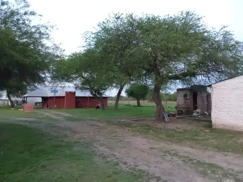 Campo en Venta de 301  ha