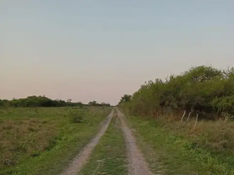 Campo 301 hectáreas Mixto Sauce Corrientes