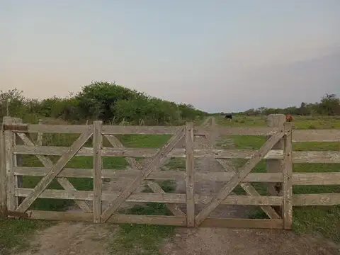 Campo en Venta Ganadero