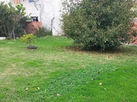 pesquera palma madre 2900