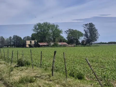 Calle Rural S/N