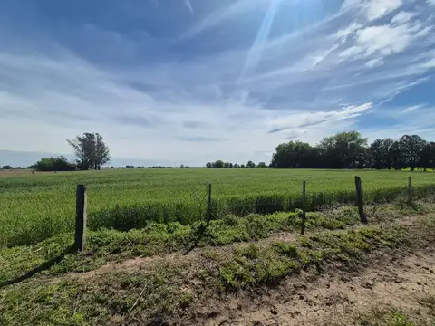 Venta de Campo en Maciel
