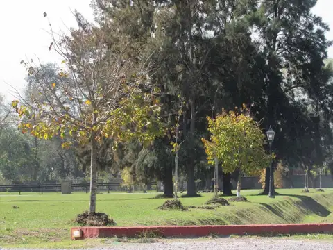 Ruta 25