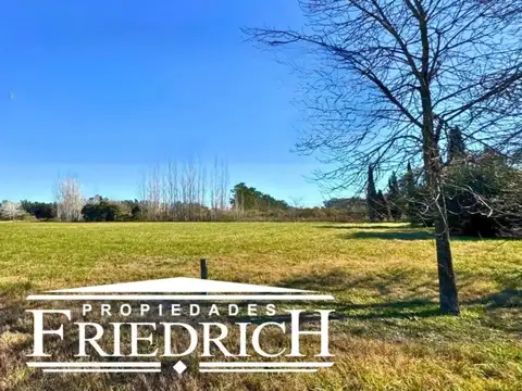 Los Girasoles, Luján