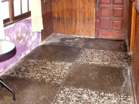 Don Luciano Larrañaga 800